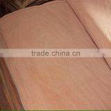 0.3mm red olive face veneer/red olive face veneer of plywood