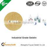 Gelatinas - Para Consumo Humano/En Hojas/En Estado Solido thumbnail-6