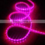 chirstmas led rope light/led light for chirstmas/decoration light