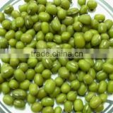 Sell Small Green Mung Bean
