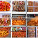 2012 fresh sweet nanfeng baby mandarin