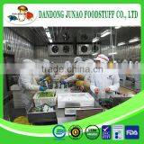 Fresh Frozen IQF Grade A Bulk Packaging Spinach thumbnail-3