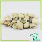 Broad Beans 70-80pcs For Canned thumbnail-2