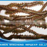 High Quality Fish Food Freeze Dried Polychaete thumbnail-1