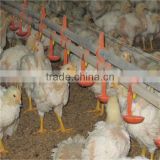 Automatic nipple drinking equipment for poultry shed