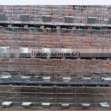 24 rabbits commercial rabbit cages HJ-RC24