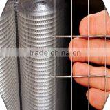 1*30m PVC Coated Welded Wire Mesh / 1*20m 1/2 Inch Galvanized Welded Wire Mesh Cheap thumbnail-3