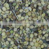 High Quality 5340 Pixels Soybean Color Sorter Machine thumbnail-6