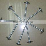 / /chinese // Anping Nails // Manufacturers// thumbnail-1