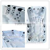 Balboa Manual Control 12 Person Hot Tubs for Sale (A870)