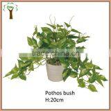 Artificial Green Pothos Plant Bonsai thumbnail-1