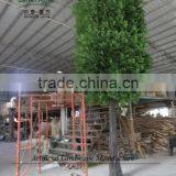Artificial Banyan Tree for Decoration,fake Banyan Tree thumbnail-5