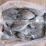 BLACK POMFRET/ CHANDA/ BUTTERFISH thumbnail-4
