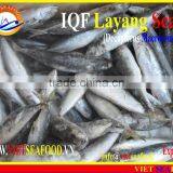 IQF LAYANG SCAD WHOLE ROUND thumbnail-4