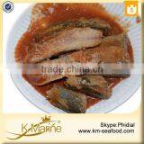 New Processing Halal Chinese Wholesale Canned Mackerel in Tomato Sauce thumbnail-2