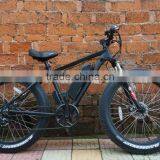 Fashionable Brushless Design no Foldable Electric Snow Bike Fat Tire Electric Bike thumbnail-2