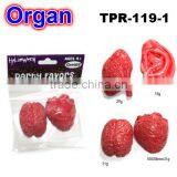 Crazy Soft Plastic Human Body Organs Toys thumbnail-2