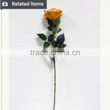 Rainbow Rose Flower Valentine's Gift Rose Flower thumbnail-6