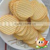 Baked Potato Chips Tubr Packing thumbnail-1