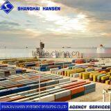Shanghai Foreign Trade Agent With Professional Operation International Trading