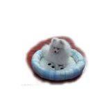 Sell Pet Cushion thumbnail-1