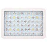 Bloom & Veg Function 60leds 300w Led Grow Light thumbnail-2