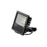 30W Industrial High brightness High Power LED Flood Light with Natural White / Cold White