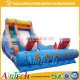 Inflatable Giant Slide for Adults, Giant Adult Inflatable Slide for Sale
