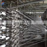 High Quality 100% Virgin pp Woven Raffia in Roll thumbnail-3