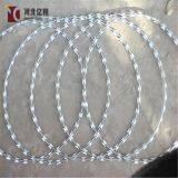 BTO&CBT Антикоррозионная оцинкованная зигзагообразная колючая проволока/колючая колючая проволока/колючая проволока thumbnail-3