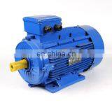 Induction Motor Y3 Series YHREE-PHASE ASYNCHRONOUS MOTORS Pump Speed Controller Motor thumbnail-2