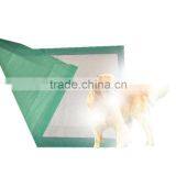 Peeing in a Pad Peepads Pet a Potty