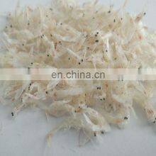 High Quality Frozen Dried Baby Shrimp thumbnail-5
