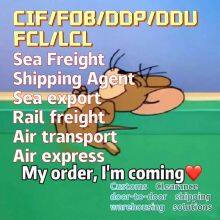 Sea/Air Freight Shipping Services From China/Fob/CIF/DDP/DDU/FCL/LCL to Barbados/Bahamas thumbnail-1
