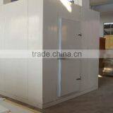 Walk in Cold Storage Room for Yogurt