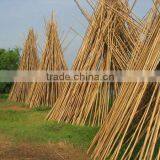 Bamboo Trunks for Making Fence/garden/outdoor Decoration thumbnail-1