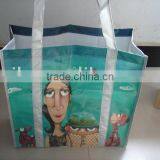 pp woven shopping bag with long handle