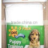 Puppy Training Pad thumbnail-2