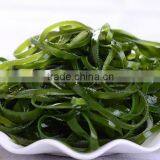 Bubble Type Kelp Washing Machine|Mushroom and Bean Sprout Cleaning Machine thumbnail-6