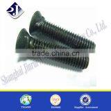 Grade 10.9 Plow Bolt and Nut High Strength Plow Bolt Black Finish Plow Bolt