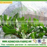 Polypropylene Plant Protection Fabric Blanket Fleece For Plants/Nonwoven Fabric For Agriculture thumbnail-3