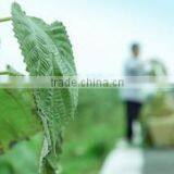 Rongchang Yesm Autumn Cultrual Development Co., Ltd. company overview - view 1 thumbnail