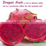 Taiwan Fresh Red Dragon Fruit for Sale thumbnail-1