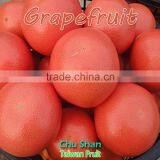 Grade A Fresh Grapefruit thumbnail-4