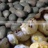 Lotus Seed thumbnail-1