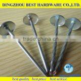 9 Bwg Galvanized Roofing Nail With Umbrella Head thumbnail-1