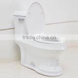 CUPC One Piece Toilet thumbnail-2