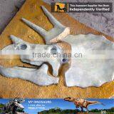 MY Dino-O11 Dinosaur Park Equipment Dinosaur Fossil Excavation Kit