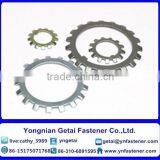 Stainless Steel External Teeth Serrated Lock Washers DIN6798 GB862.2 thumbnail-6