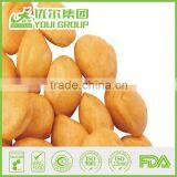 HACCP,ISO,BRC,HALAL Certification Beer Peanuts With Best Quality and Hot Price thumbnail-6